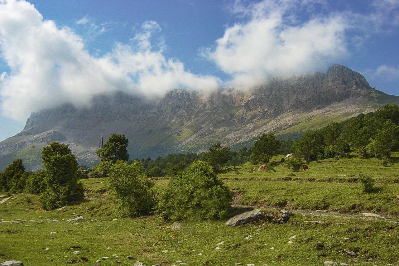 landscape 4955014 1280