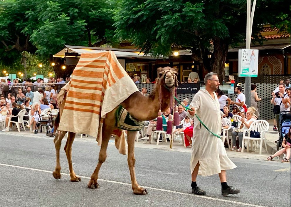 Desfilada de la XXVI Festa del Renaixement de Tortosa 39. FOTO: Catalunya M'agrada