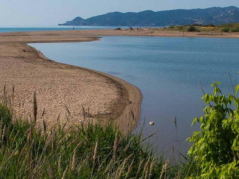 La platja de la Gola del Ter és una de les més visitades a la Costa Brava La platja de la Gola del Ter és una de les més visitades a la Costa Brava