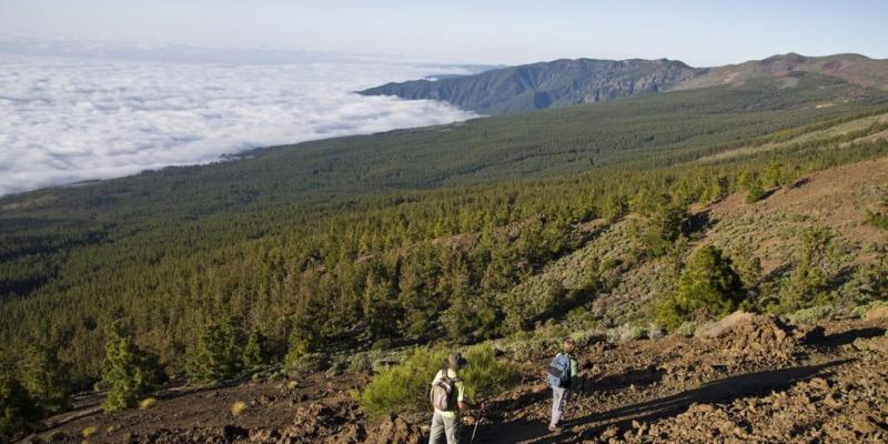 Camí al Teide