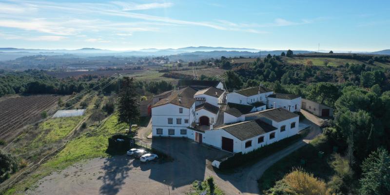 Bodega Miquel Jané