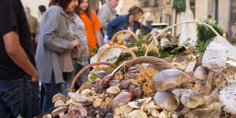 Boletus Fira del Bolet d'Isona i Conca Dellà FOTO Pallars Digital