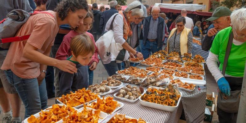 Fira del Bolet de Llagostera FOTO Diari de Girona