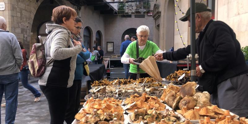 Solsoterra, la Fira de la Terra del Solsonès FOTO Ajuntament de Solsona