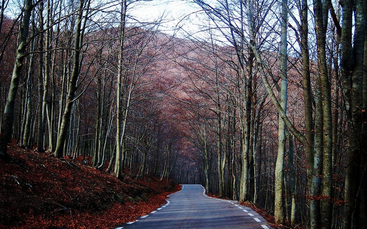 El Montseny El Montseny