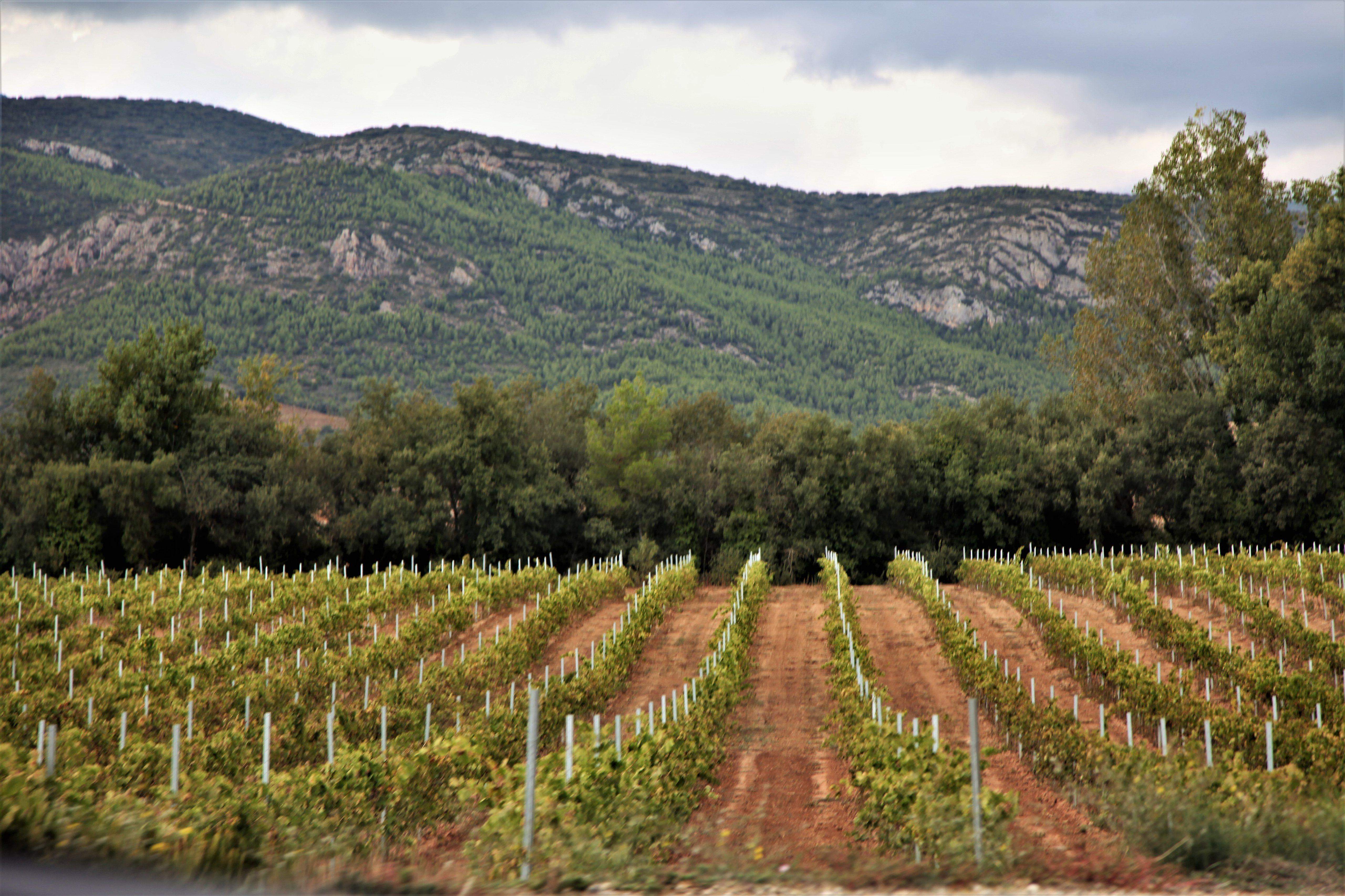 Alós de Balaguer, La Noguera. FOTO: Maria Rosa Ferré