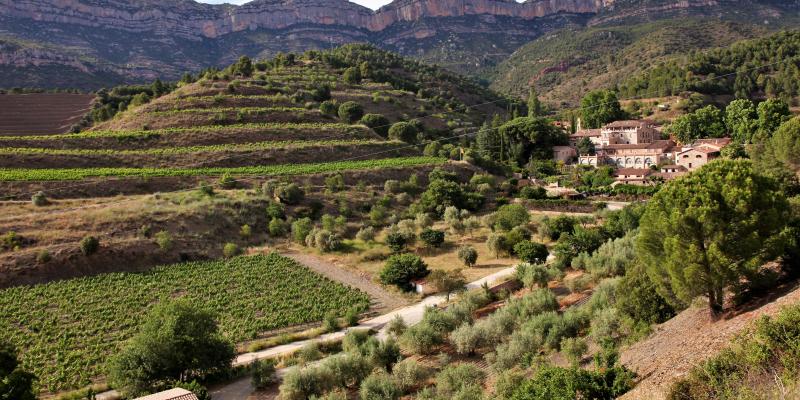 Celler Scala Dei, Priorat. FOTO: Maria Rosa Ferré Celler Scala Dei, Priorat. FOTO: Maria Rosa Ferré