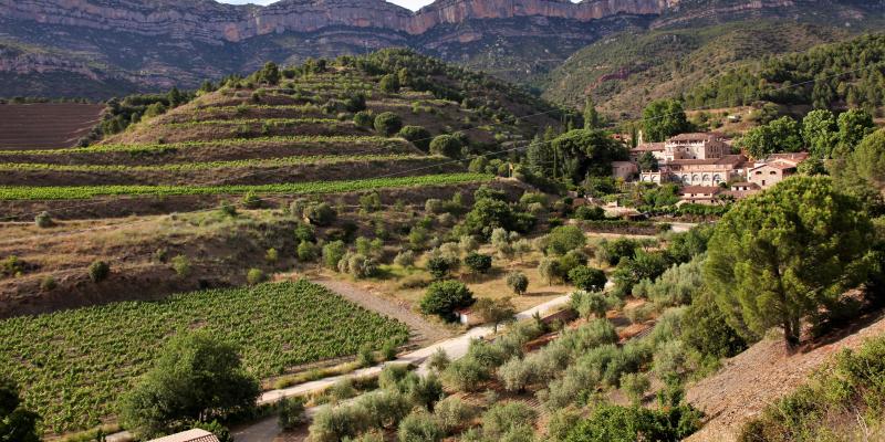 Celler Scala Dei, Priorat. FOTO: Maria Rosa Ferré