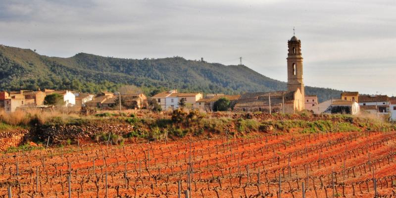 Montferri, Alt Camp, Massís de Bonastre. FOTO: Maria Rosa Ferré