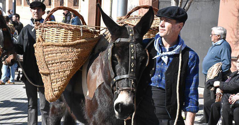 Festa dels Traginers a Balsareny FOTO femturisme