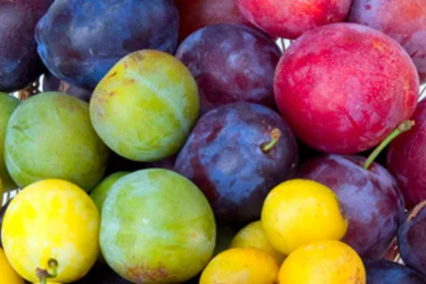 Gaudeix de la fruita quan arriba la primavera