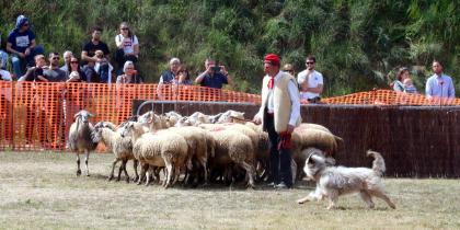 Fira Comarcal de Primavera a Campllong FOTO @FiraCampllong