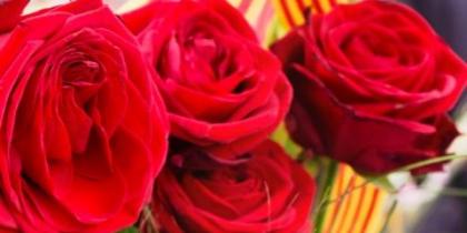 Roses i llibres per Sant Jordi