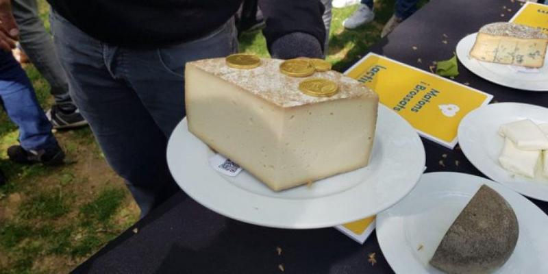 Lactium, mostra de formatges catalans a Vic