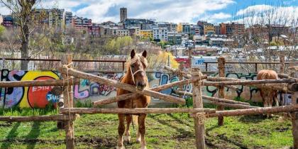 Fira de Primavera a Puigcerdà FOTO Viure als Pirineus Fira de Primavera a Puigcerdà FOTO Viure als Pirineus