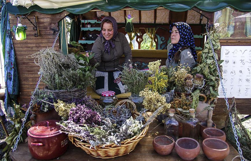 Fira de la Llavor de Roda de Ter FOTO Turisme Catalunya