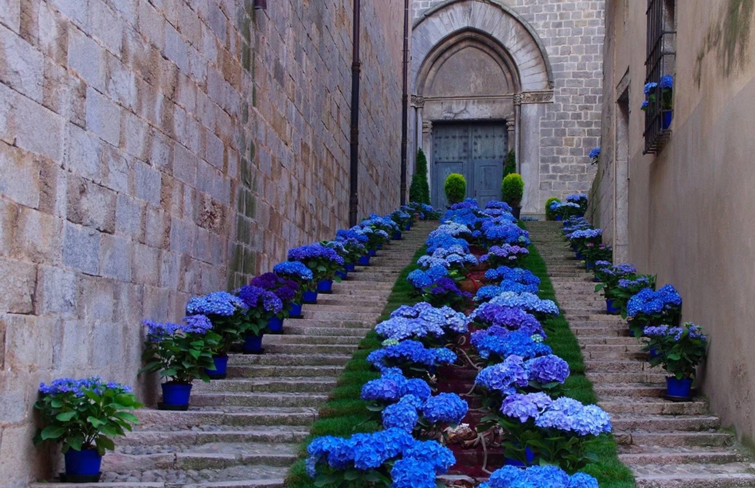 Girona, temps de flors
