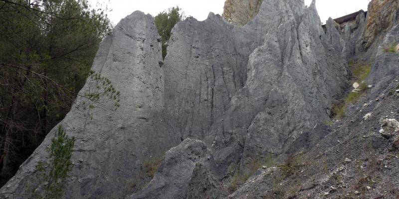 Ribes Blaves FOTO Olesa de Montserrat Turisme Ribes Blaves FOTO Olesa de Montserrat Turisme
