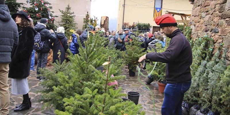 Fira de l'Avet a Espinelves