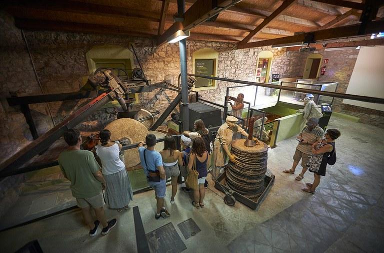 Tast d'olis i visita al Molí de Vandellòs Tast d'olis i visita al Molí de Vandellòs
