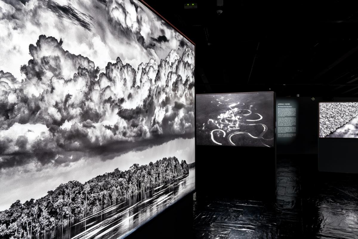 Amazônia foto Barcelona secreta Amazônia foto Barcelona secreta