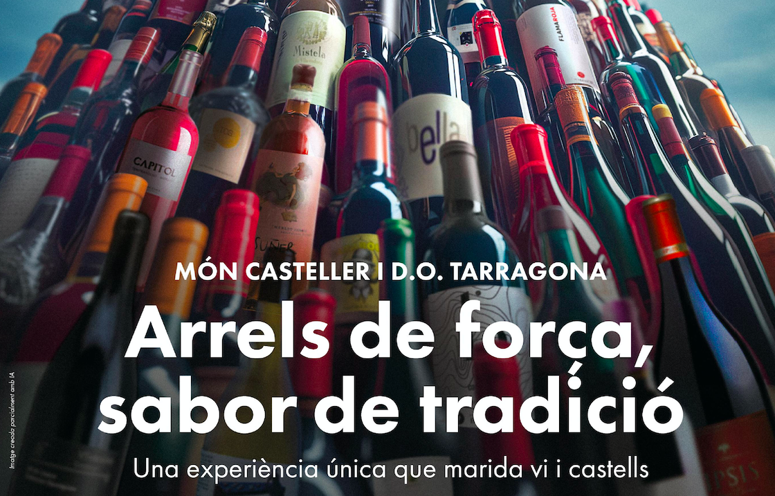 Fragment del cartell de la proposta