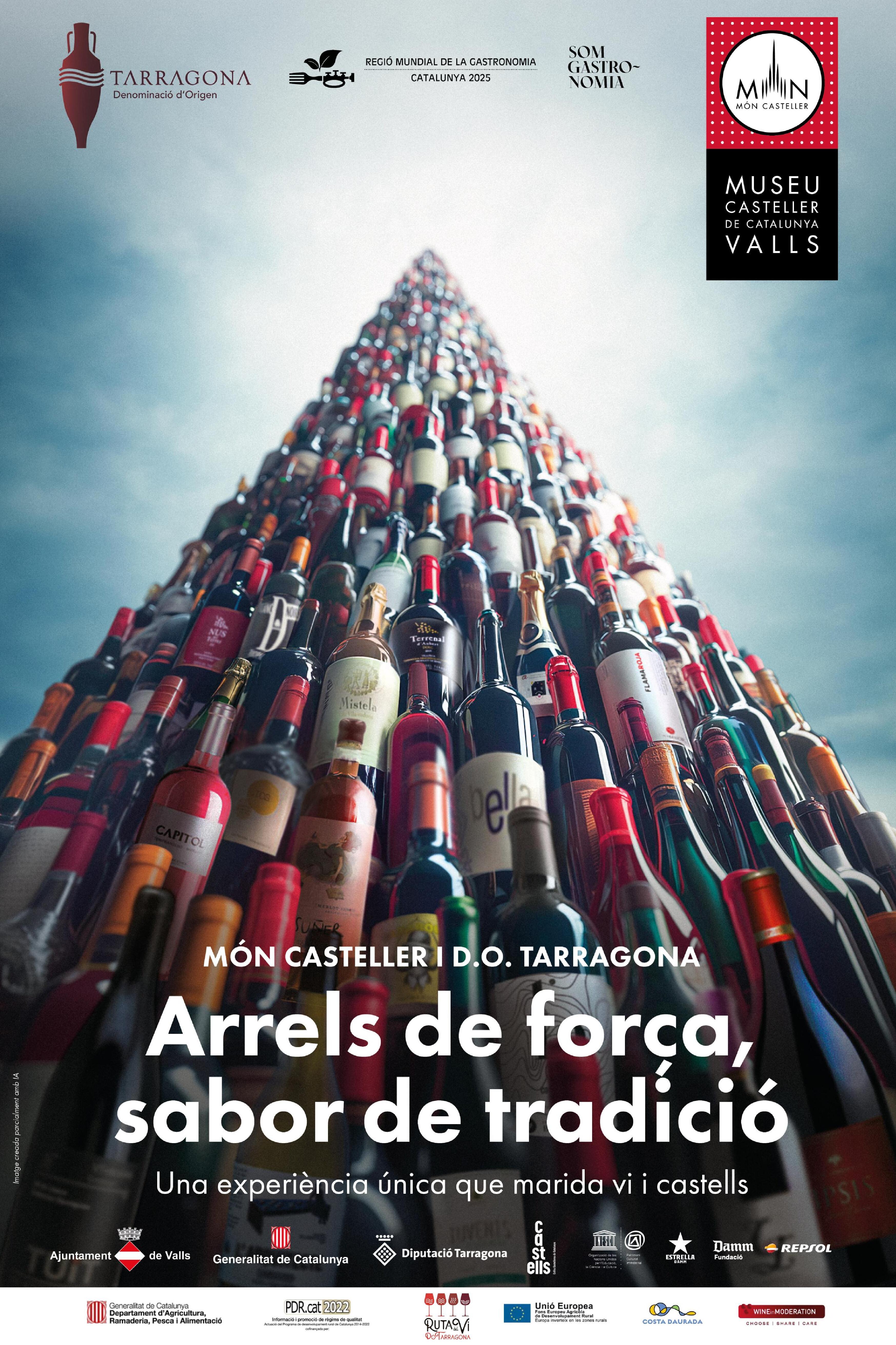 Cartell de l'activitat Cartell de l'activitat