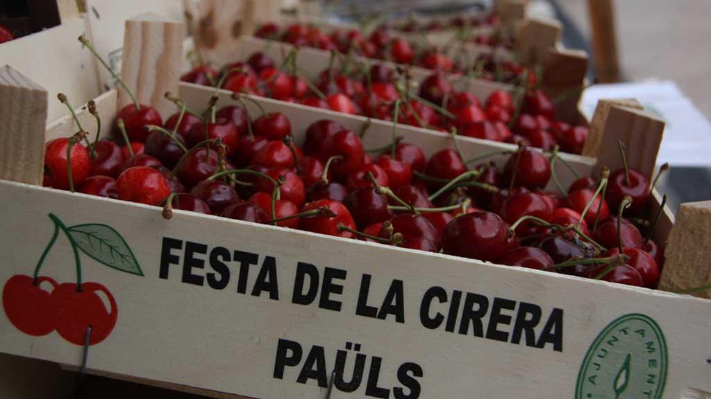 Festa de la Cirera de Paüls
