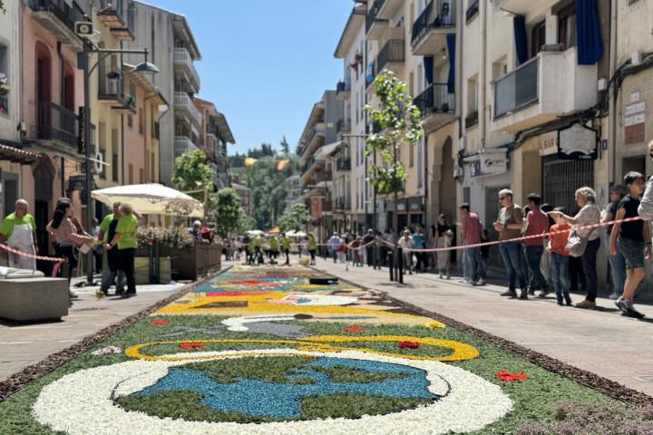 Catifes de Flors d'Arbúcies Foto Arbúcies Turisme Catifes de Flors d'Arbúcies Foto Arbúcies Turisme