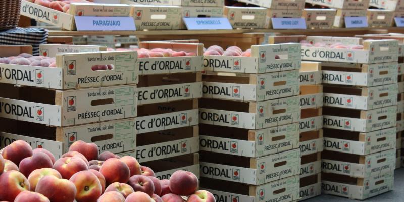 Mercat del Préssec d'Ordal FOTO Ajuntament de Subirats Mercat del Préssec d'Ordal FOTO Ajuntament de Subirats