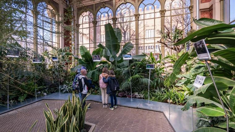 Hivernacle a Barcelona