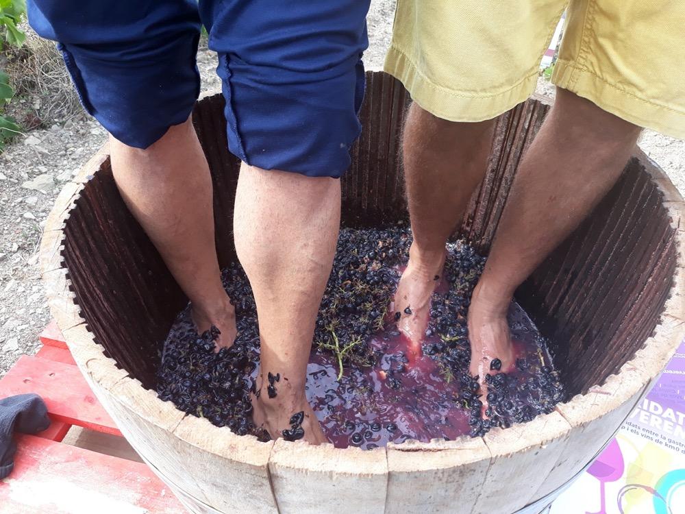 Festa de la Verema de la DO Tarragona FOTO Vinassos