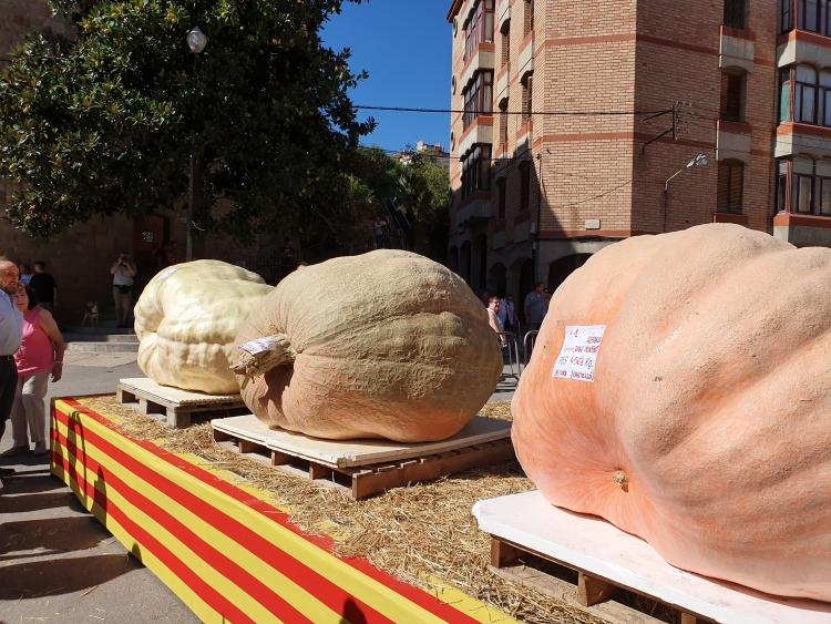 Fira de la Carabassa i productes de la terra a Sant Feliu de Codines FOTO Ajuntament de Sant Feliu de Codines