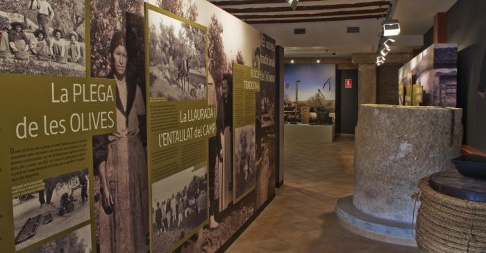 Tasta la Cultura de l'Ebre