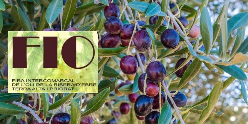 Fira Intercomarcal de l’Oli a Móra la Nova