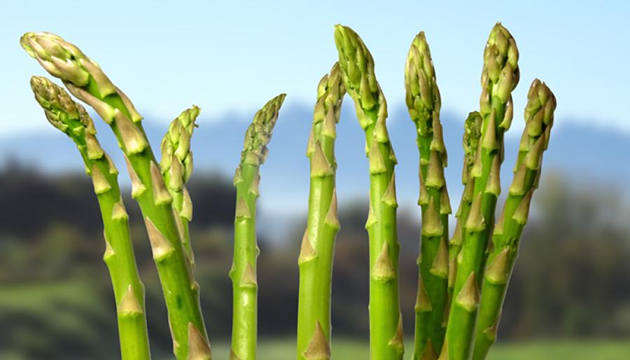 Els espàrrecs verds viuen un molt bon moment a l'abril