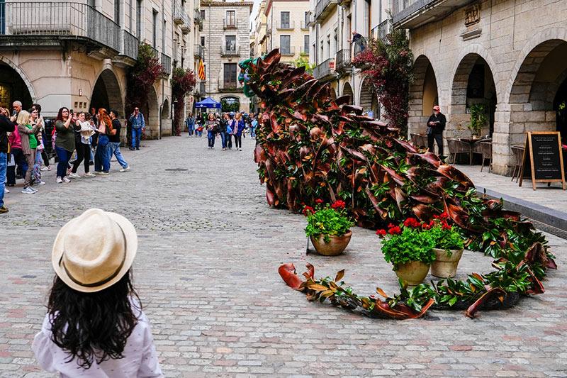 FOTO Girona Temps de Flors