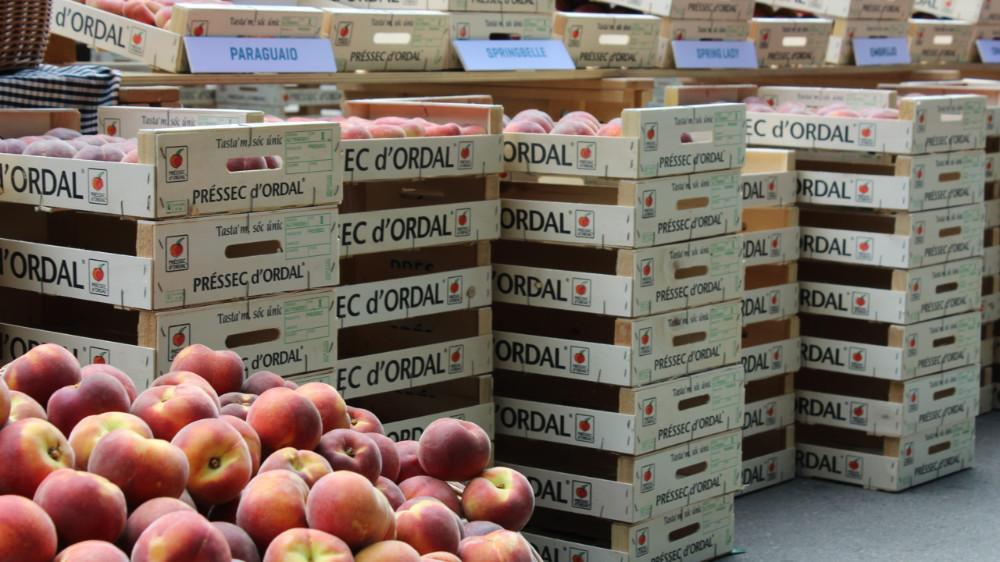 Mercat Préssec Ordal   Ajuntament de Subirats