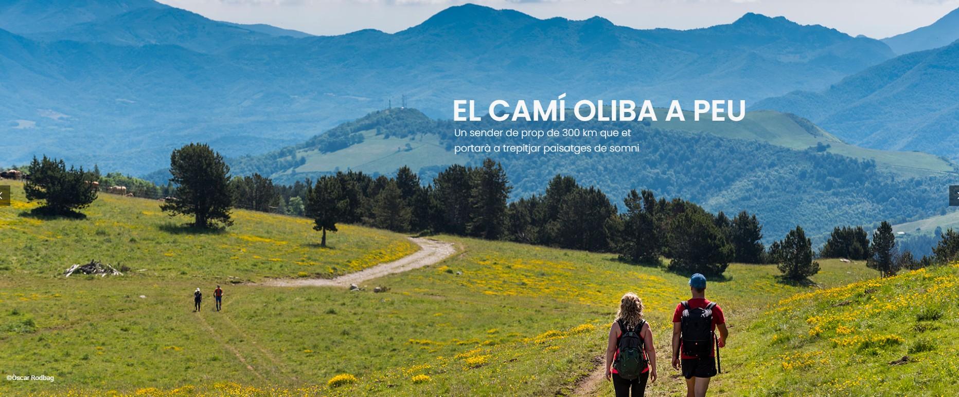 camí oliva   home   Òscar Rodbag