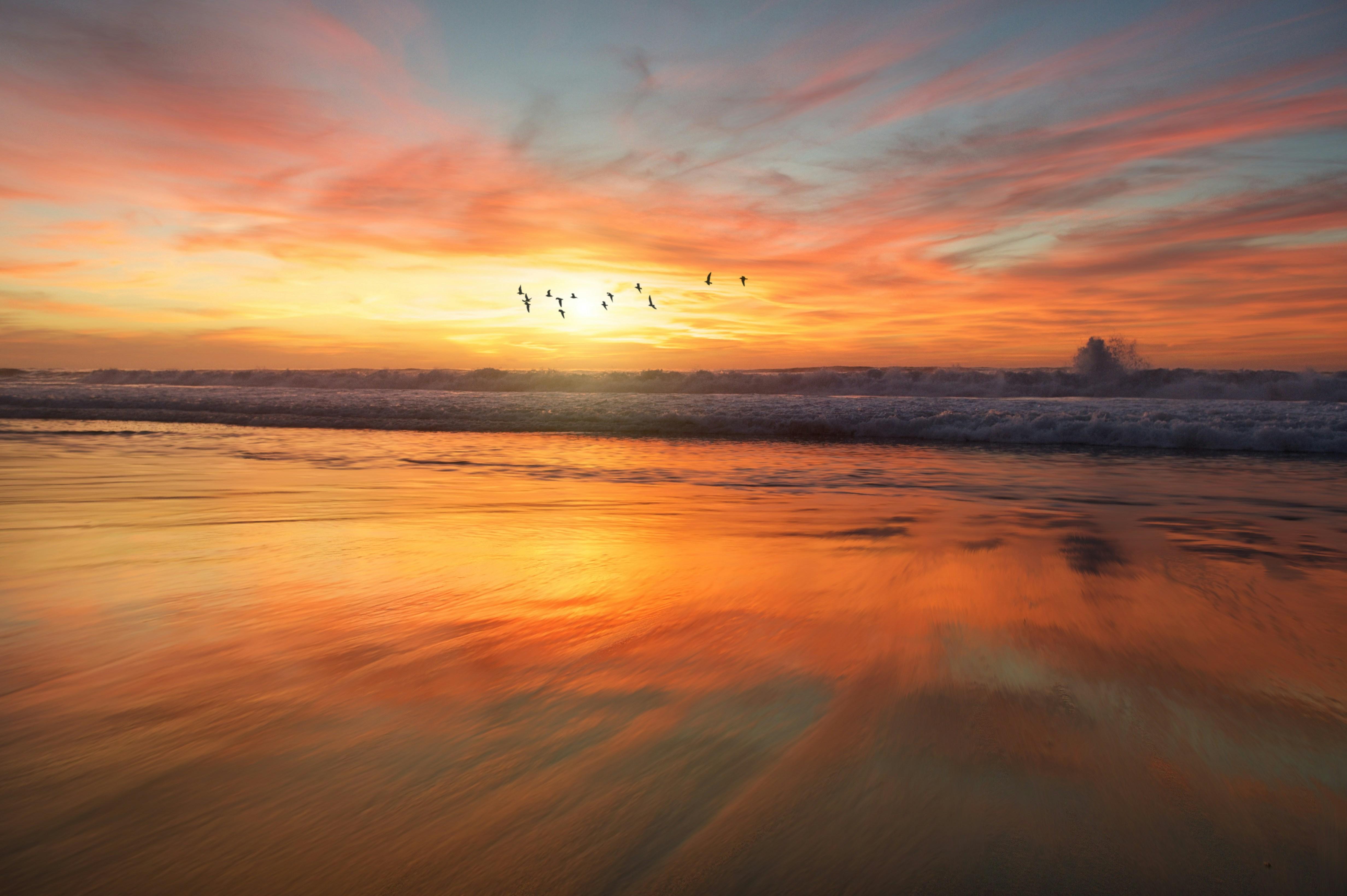 frank mckenna unsplash