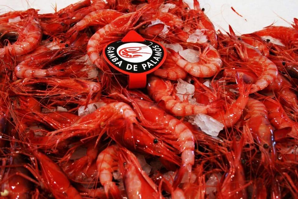 gamba petita de Palamós