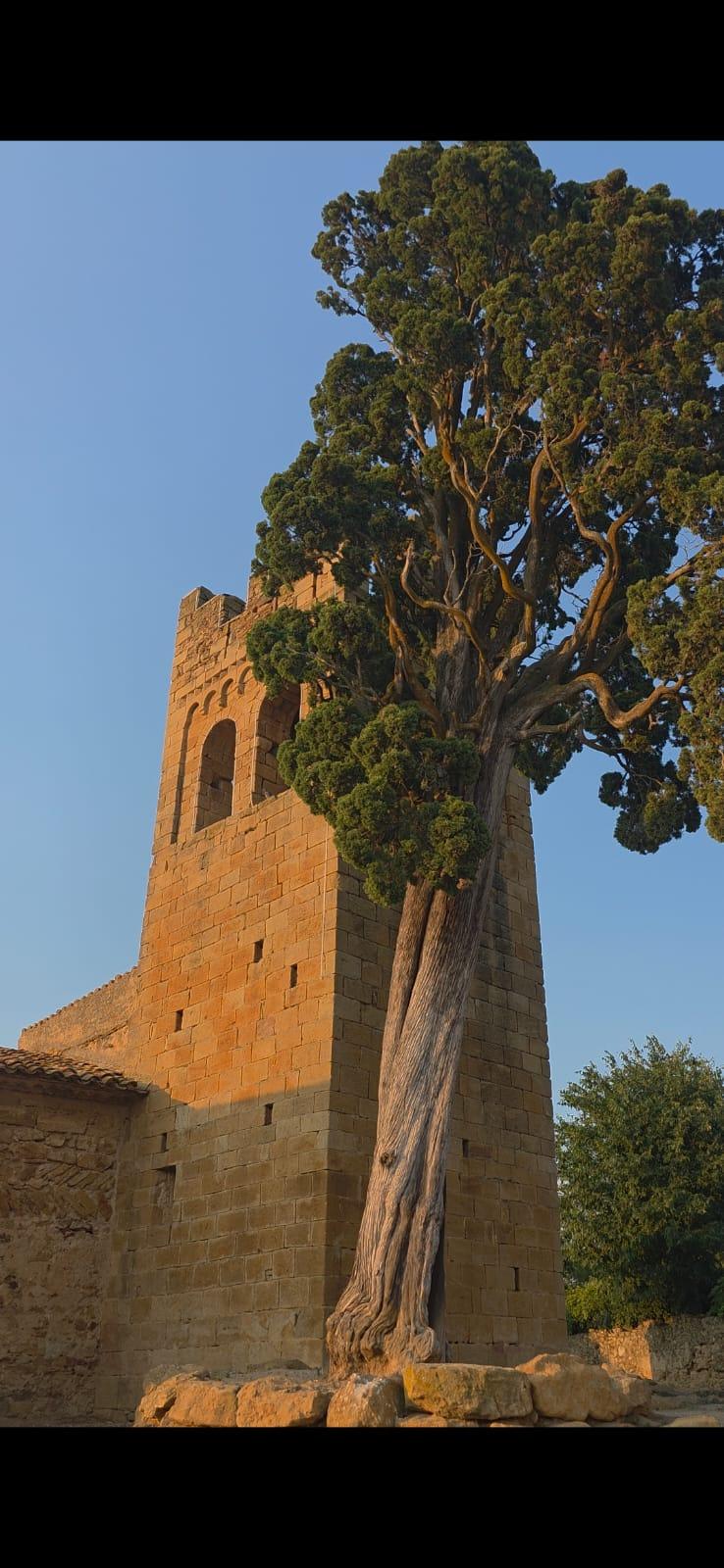 Sant Esteve de Canapost